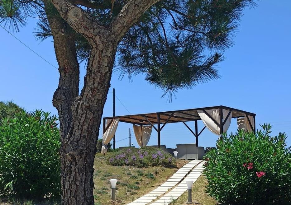 Elli Beach Apartments And Studios Almiros Beach Eksteriør bilde