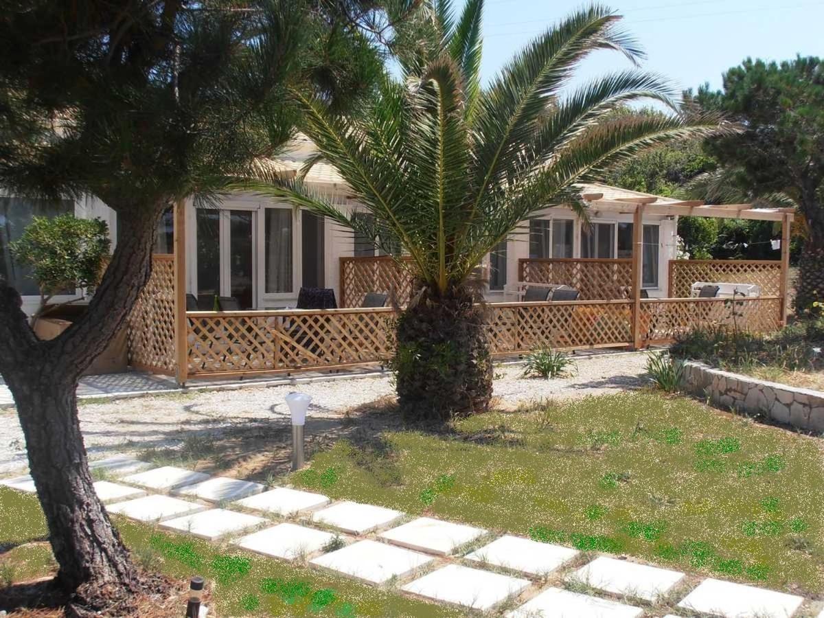 Elli Beach Apartments And Studios Almiros Beach Eksteriør bilde